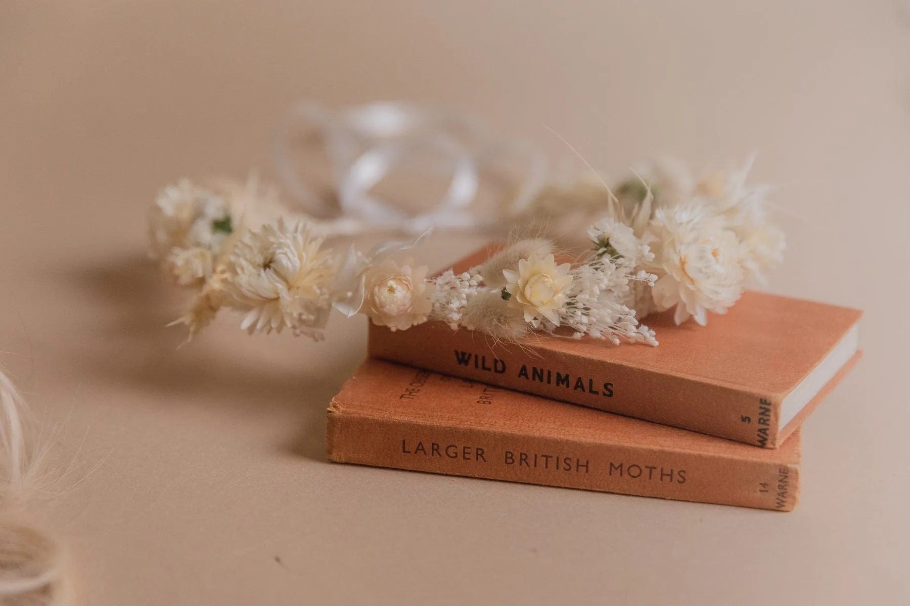 Cream Straw Flowers and Statice Crown / Broom Bloom Dried Grasses Crown / Dried Flower Crown / Boho Bridal Crown