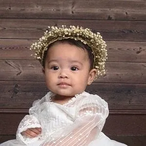 Flower Girl Crown / Baby Floral Crown / Baby's Breath Baby Crown / Newborn Crown / Newborn Photo Prop / flower crown baby