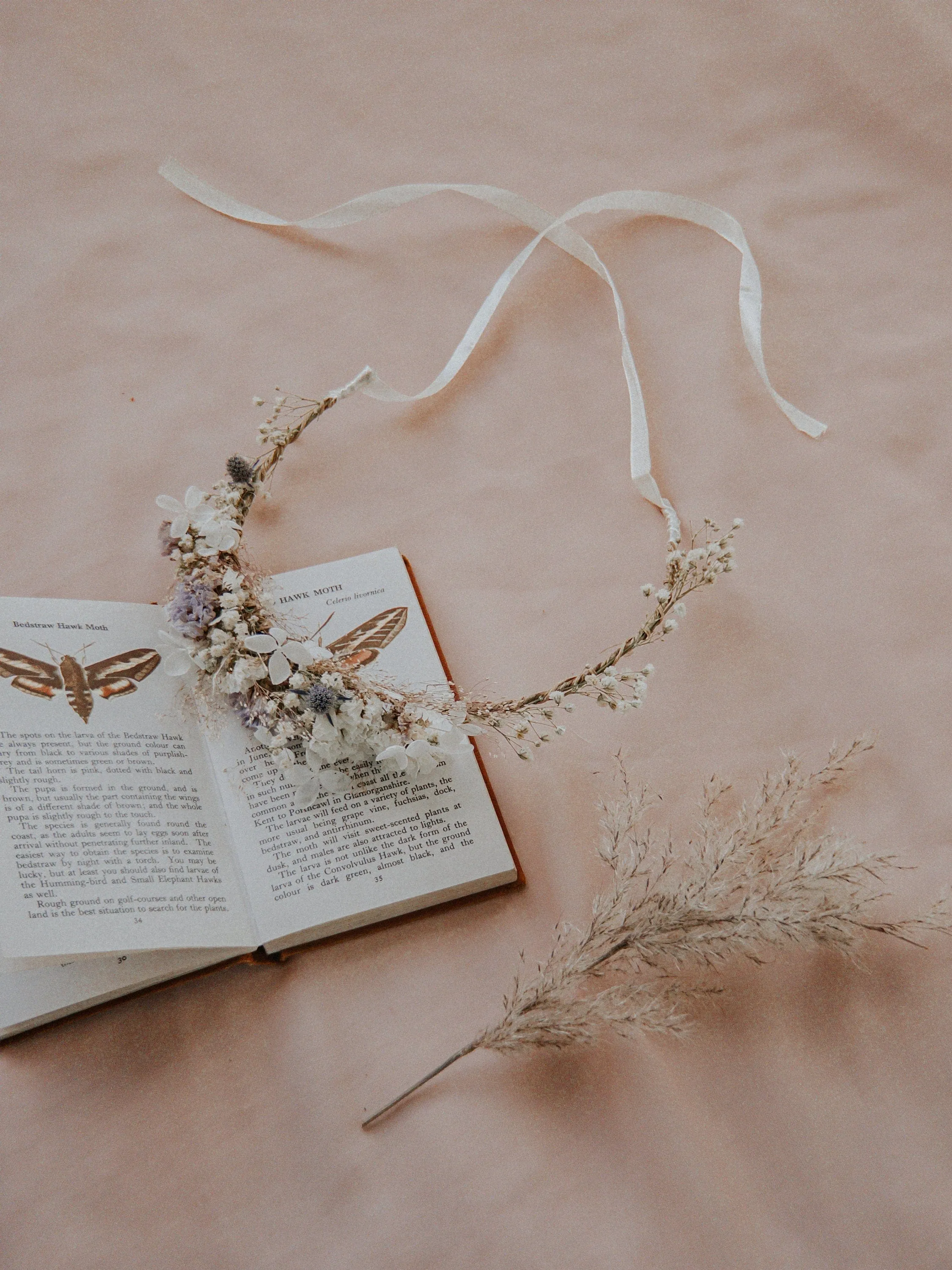 Hydrangea Wedding Half Crown / Baby's Breath Dried Grasses Crown / Dried Flower Crown / Boho Bridal Crown