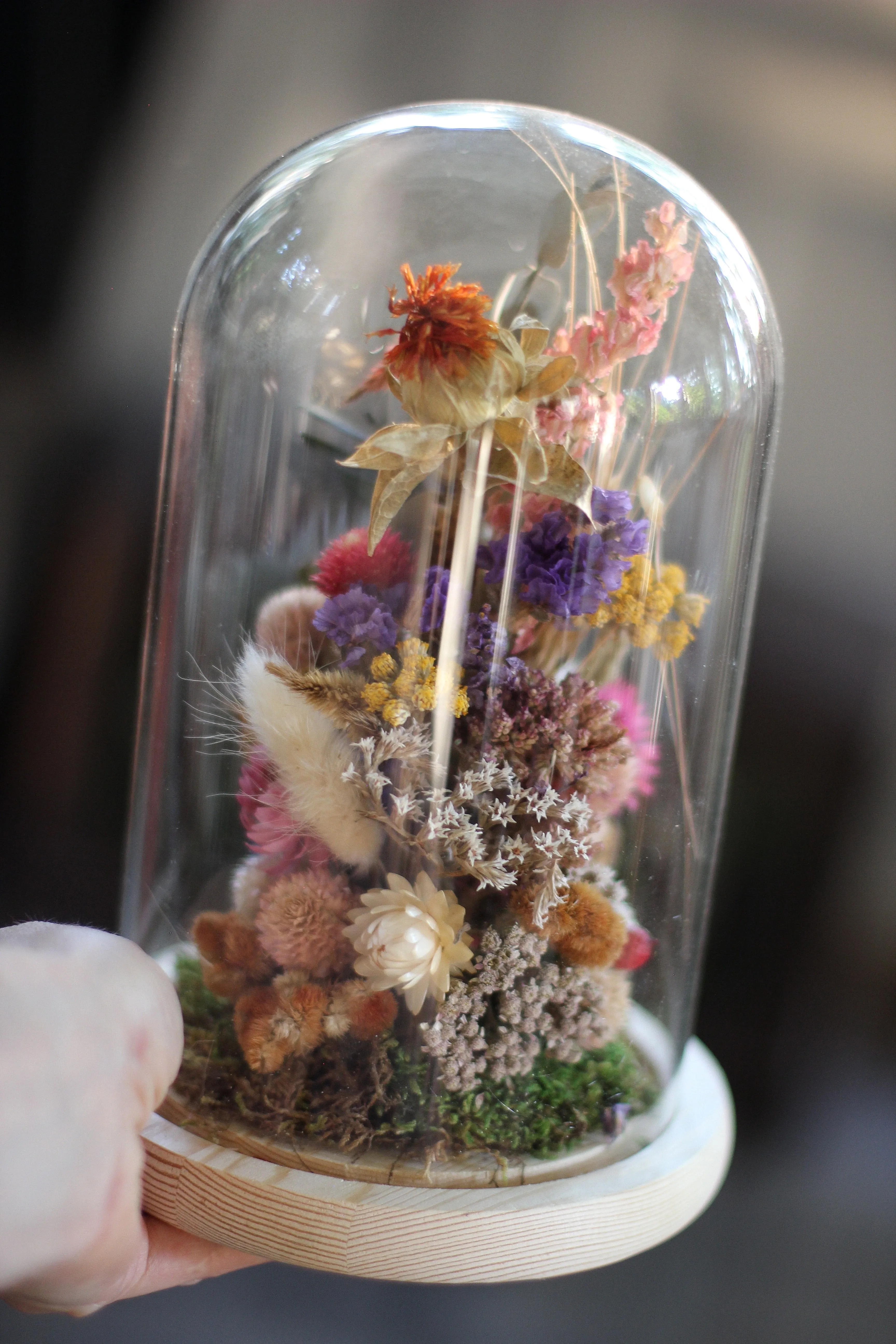 Large Dried Flowers Glass Dome / Cloche