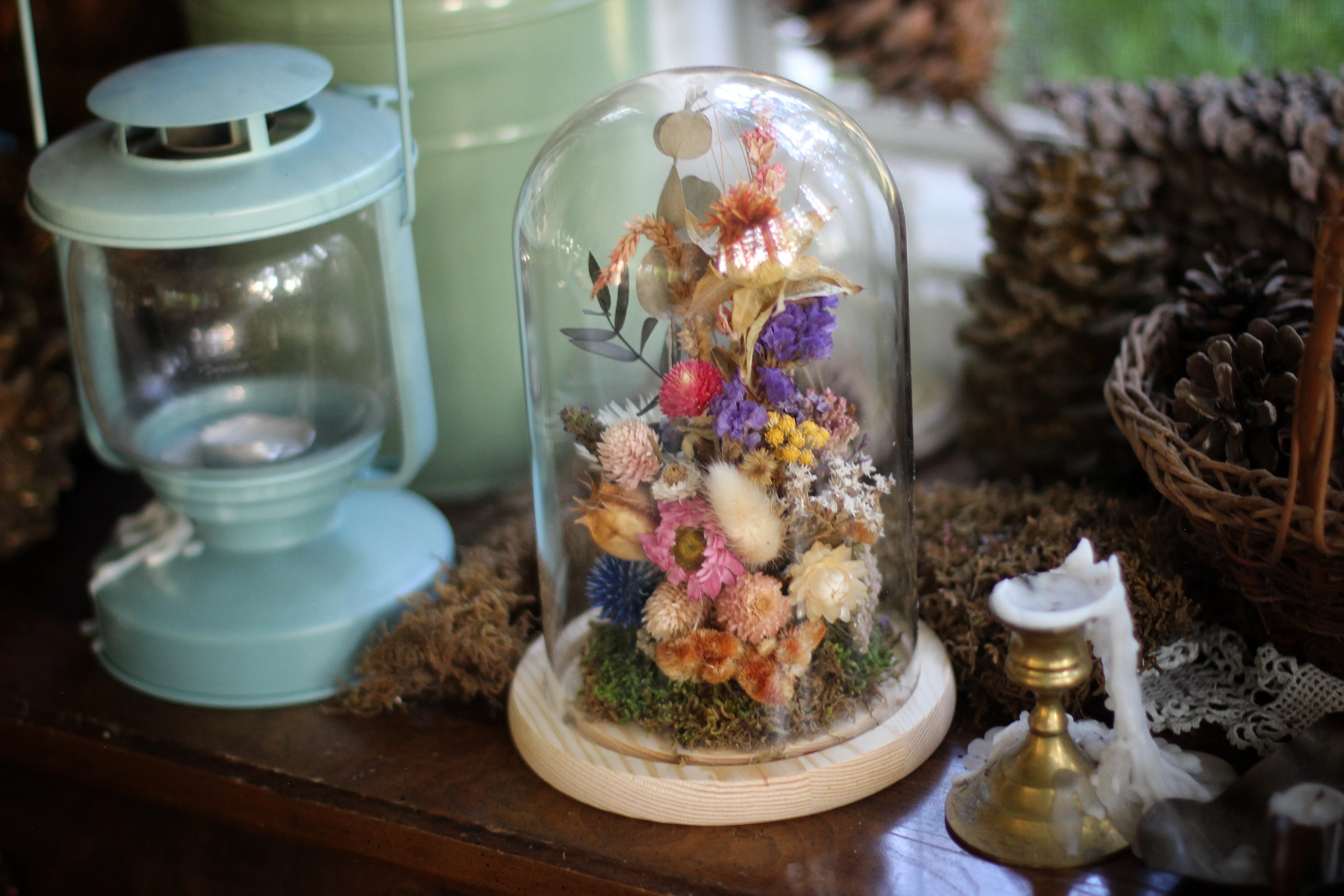 Large Dried Flowers Glass Dome / Cloche