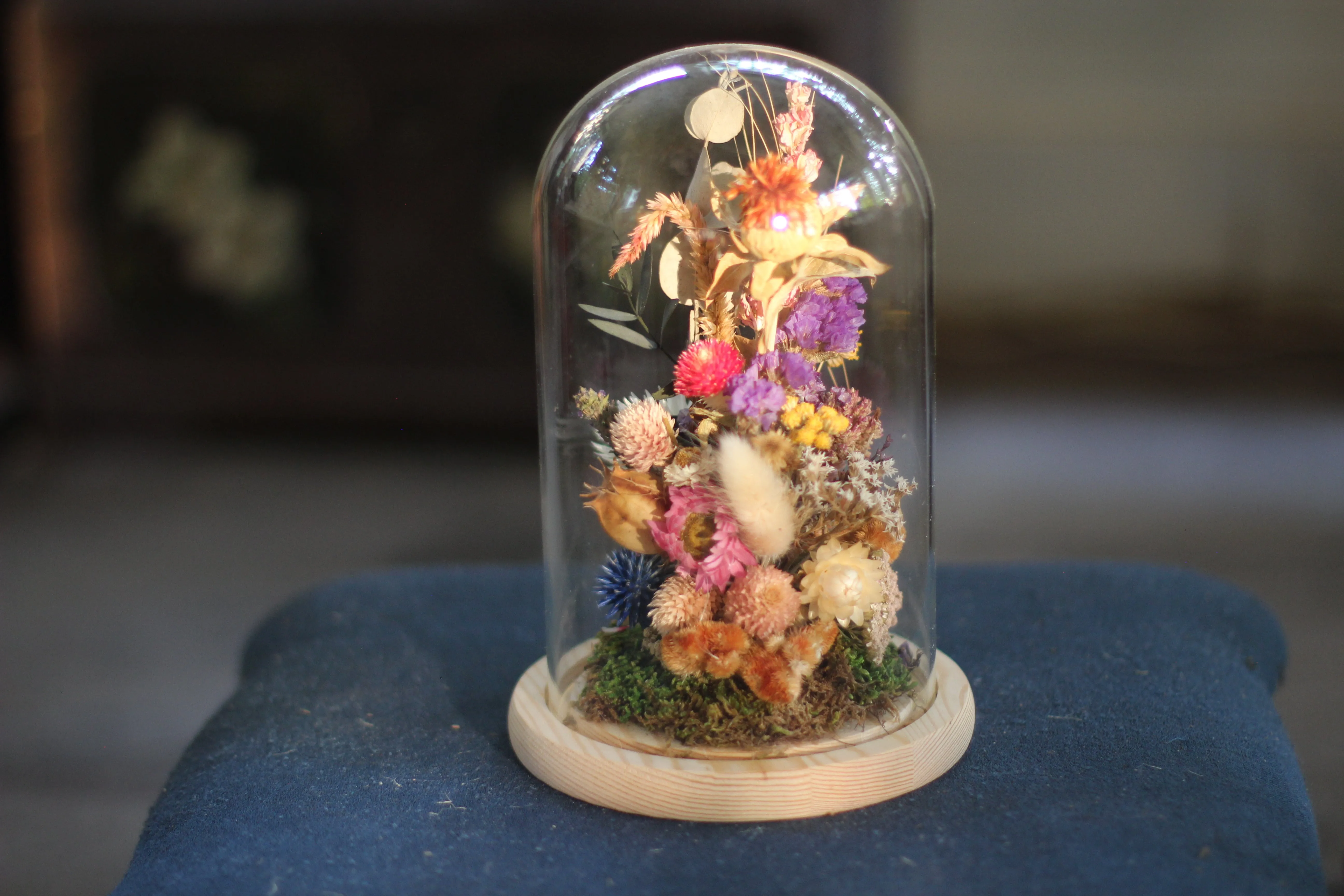 Large Dried Flowers Glass Dome / Cloche