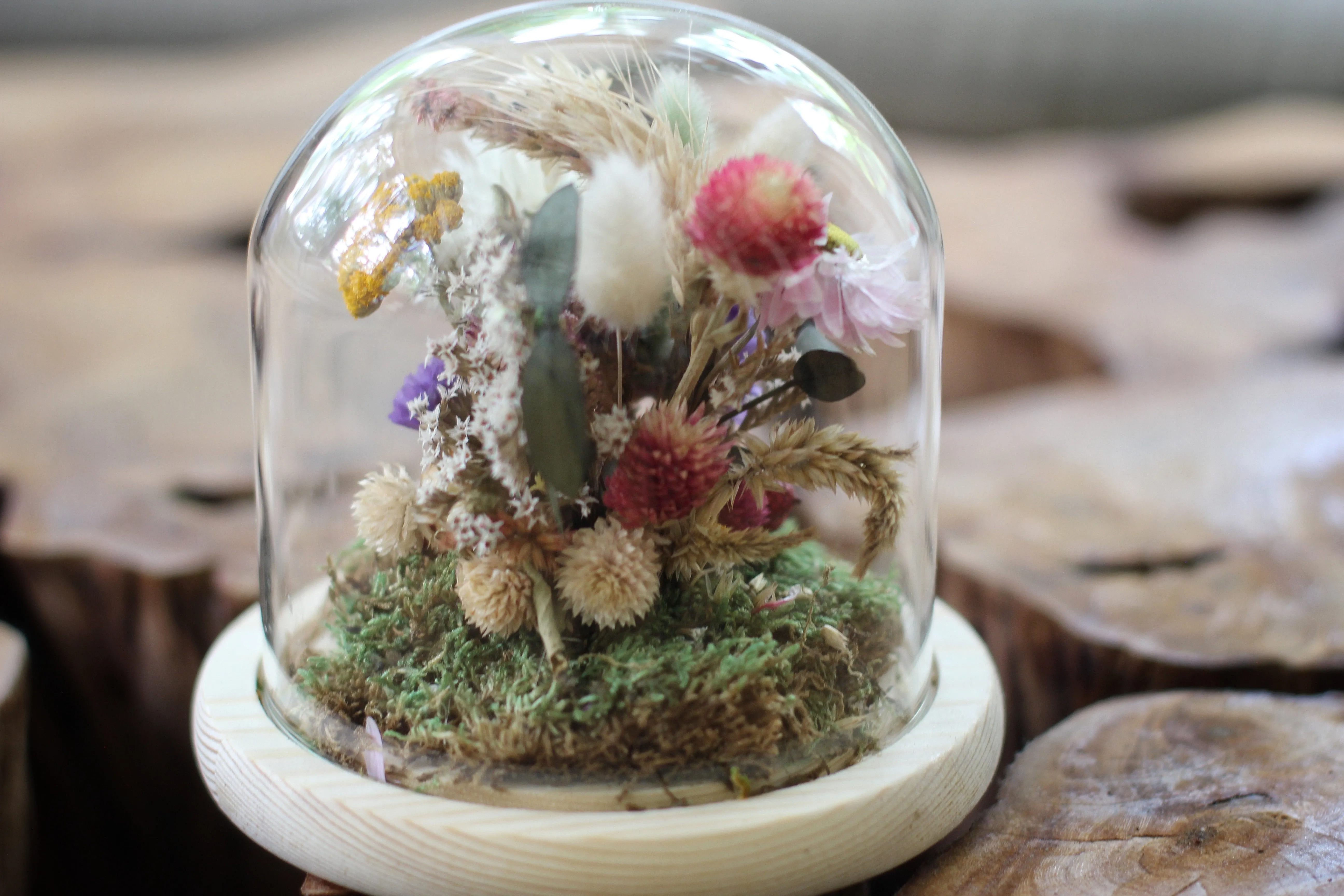 Medium Dried Flowers Glass Dome / Cloche