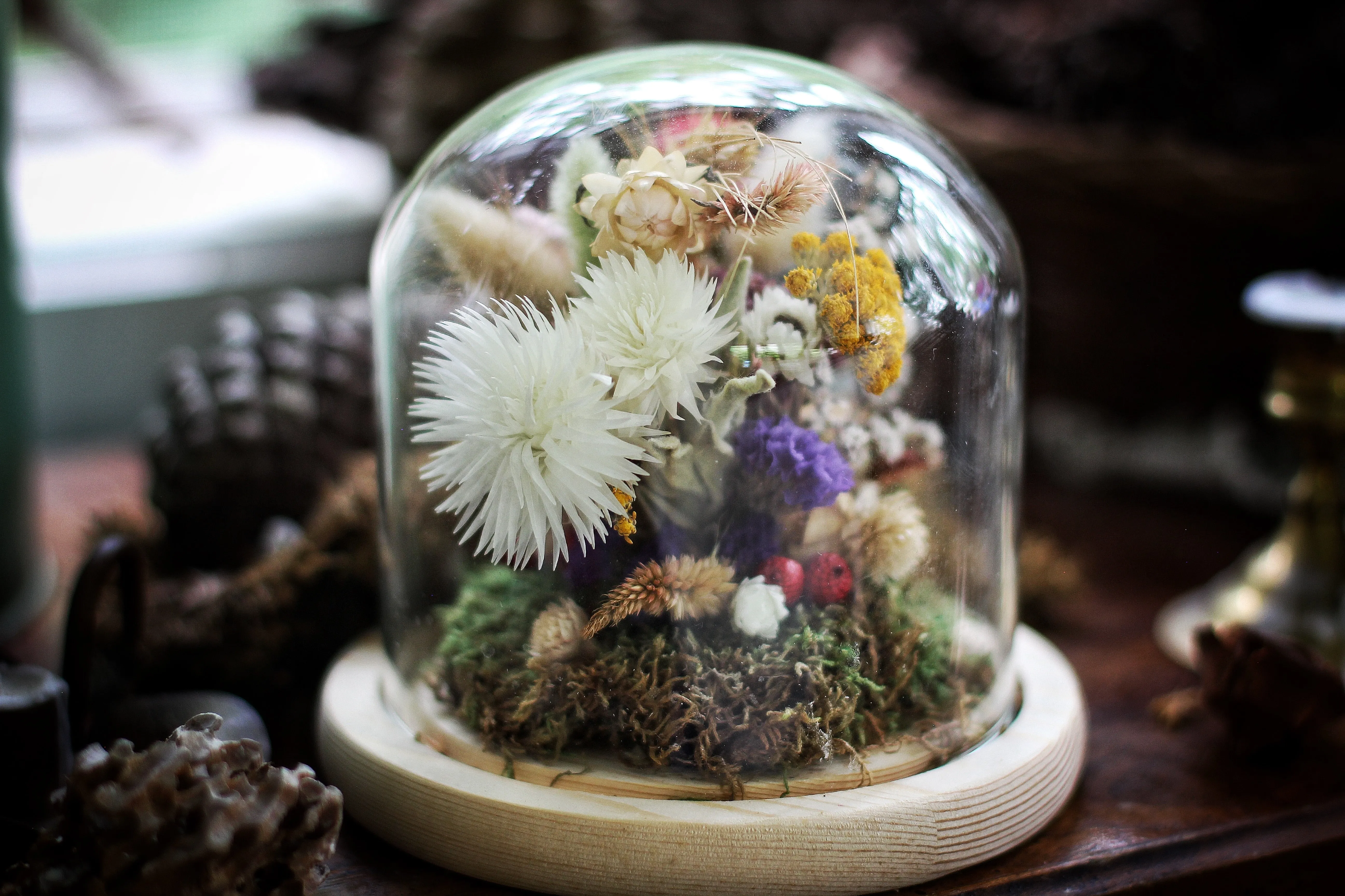 Medium Dried Flowers Glass Dome / Cloche