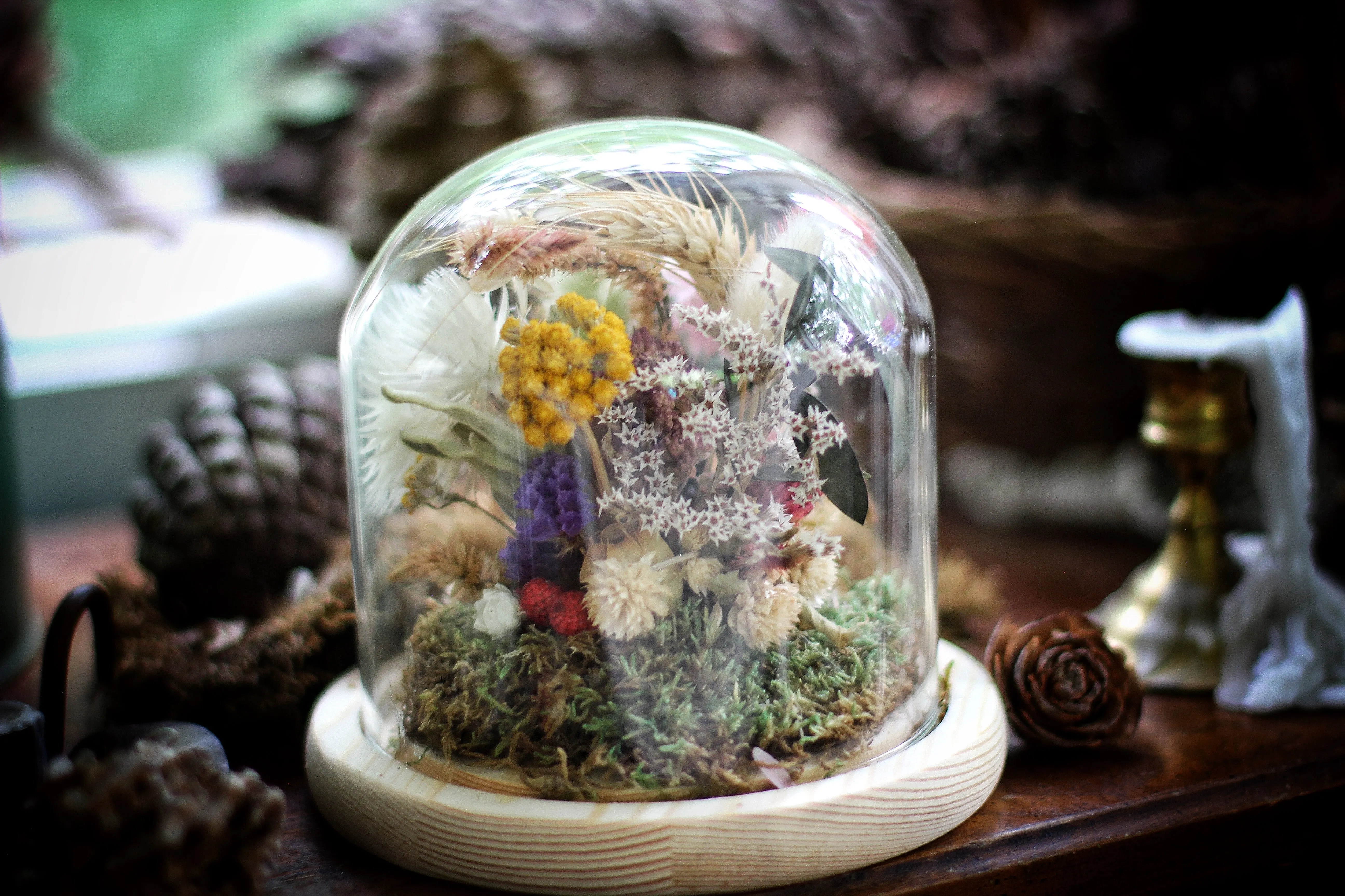 Medium Dried Flowers Glass Dome / Cloche