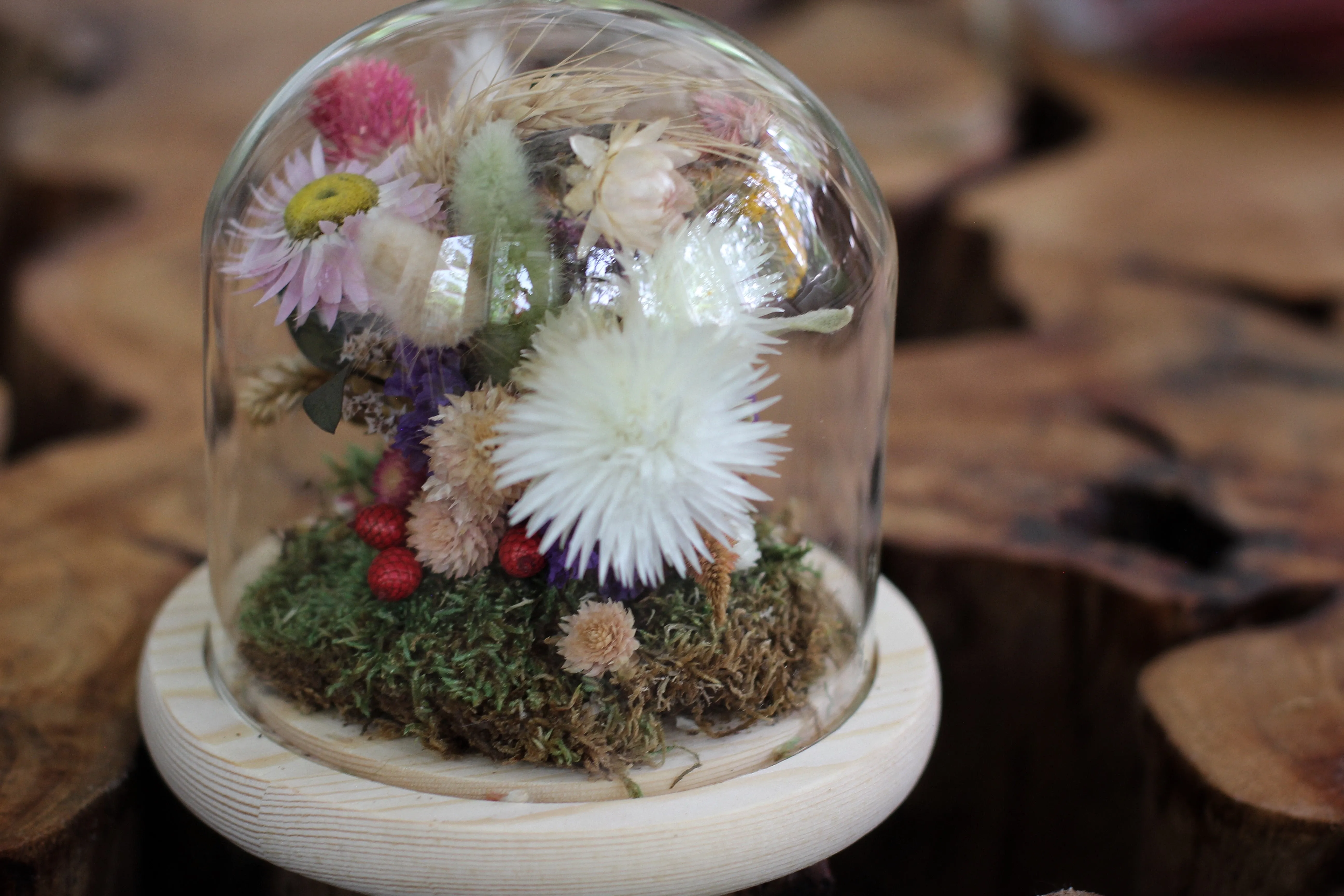 Medium Dried Flowers Glass Dome / Cloche