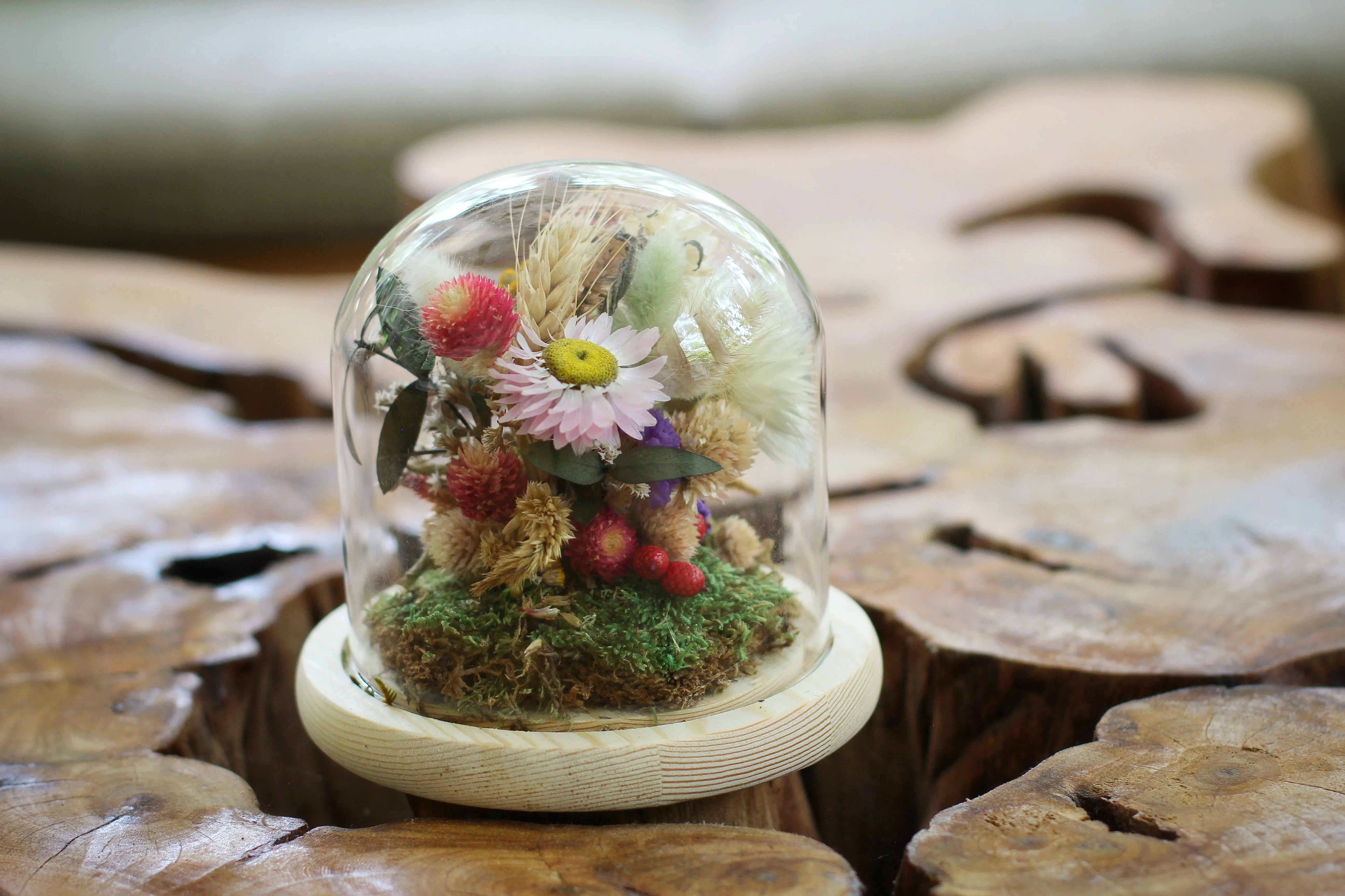 Medium Dried Flowers Glass Dome / Cloche