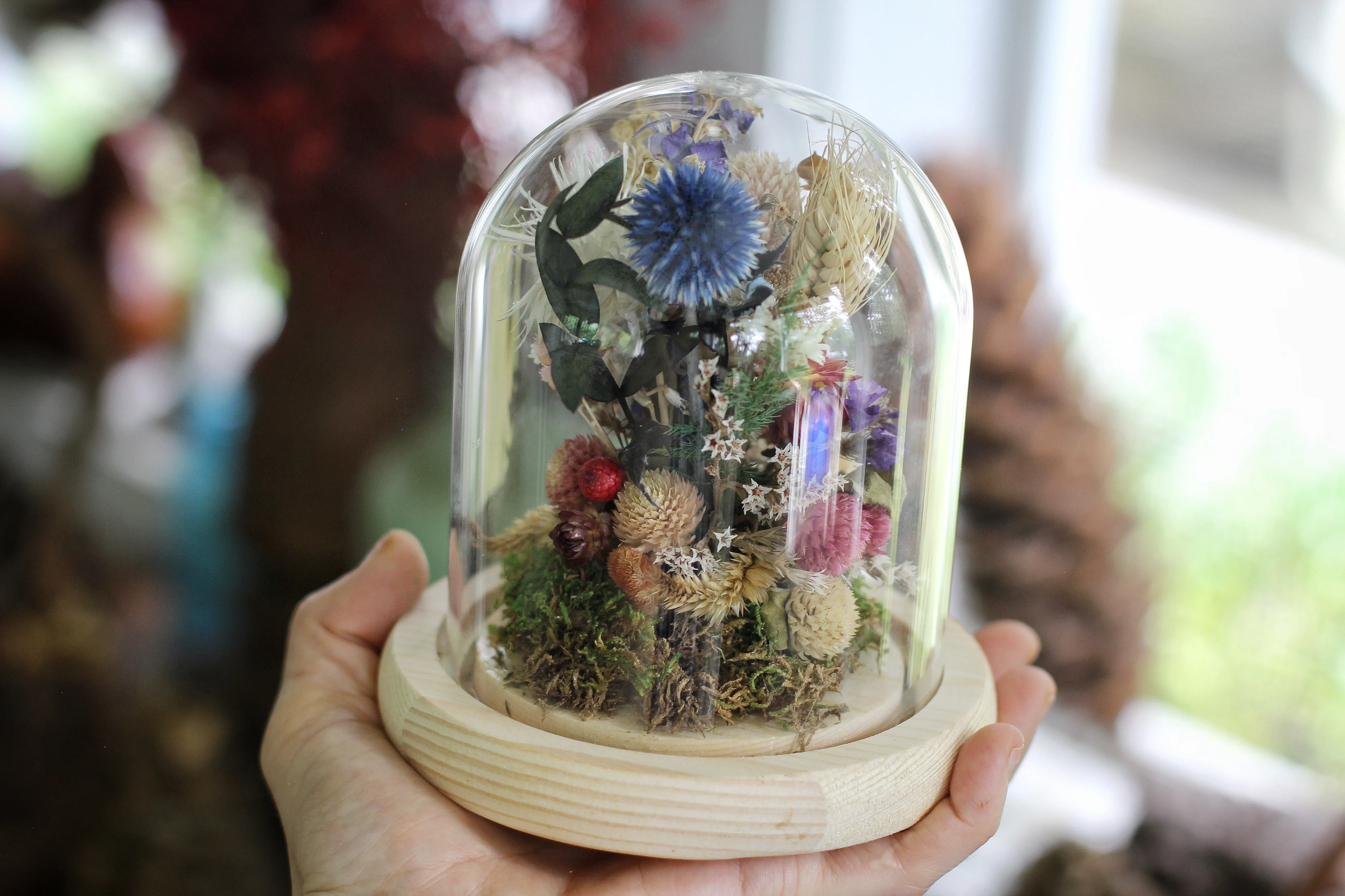 Medium / Small Dried Flowers Glass Dome / Cloche