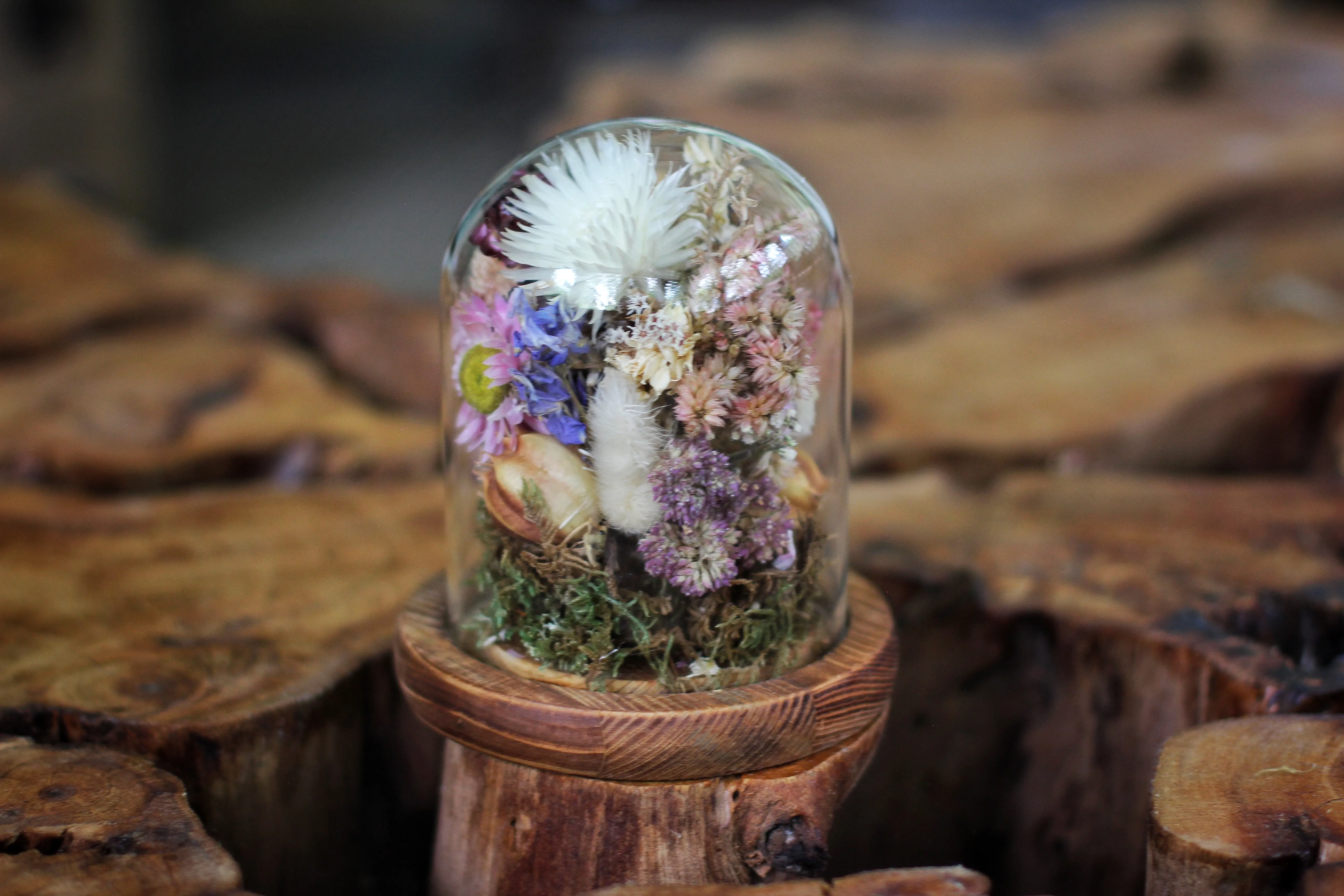 Medium / Small Dried Flowers Glass Dome / Cloche