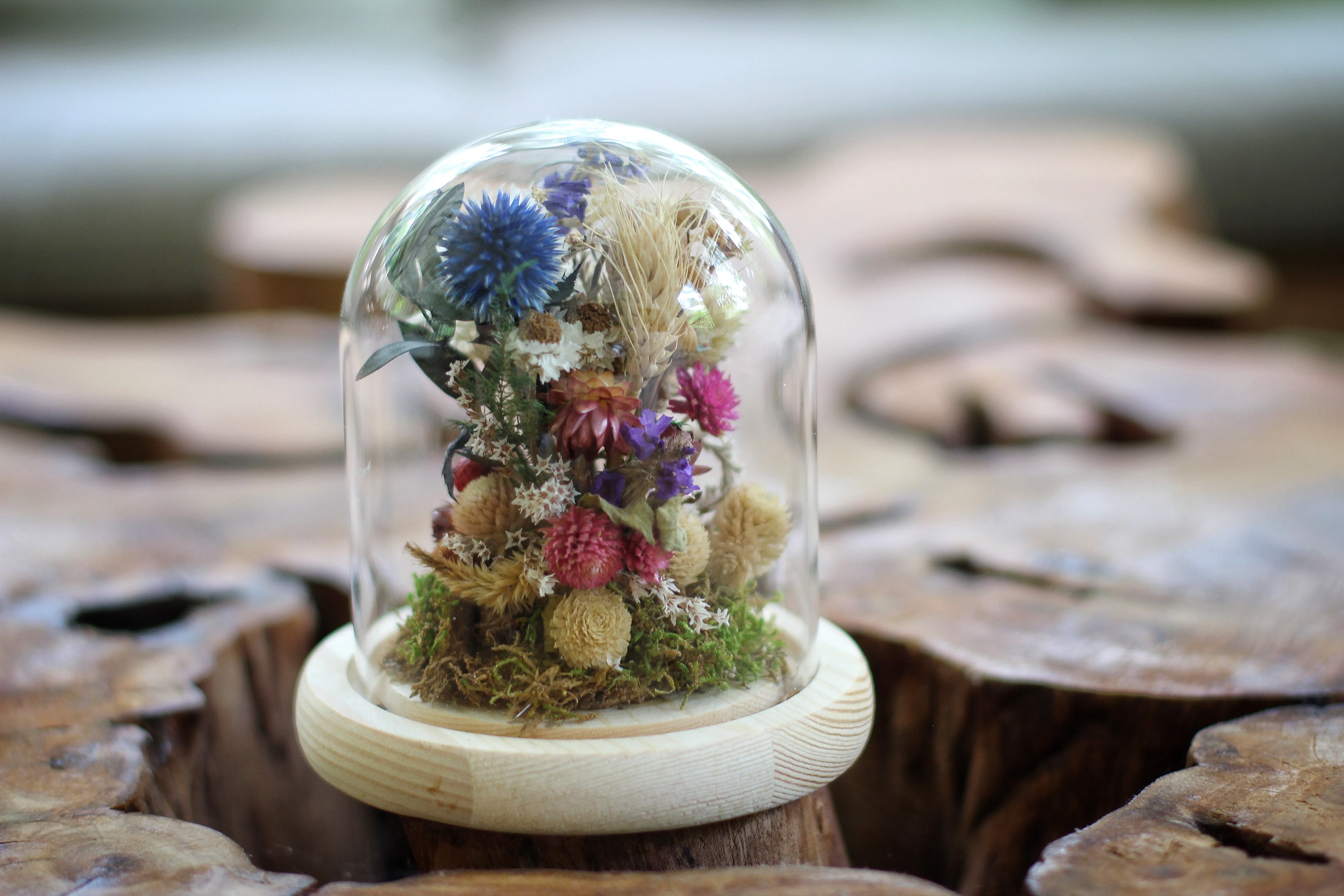 Medium / Small Dried Flowers Glass Dome / Cloche