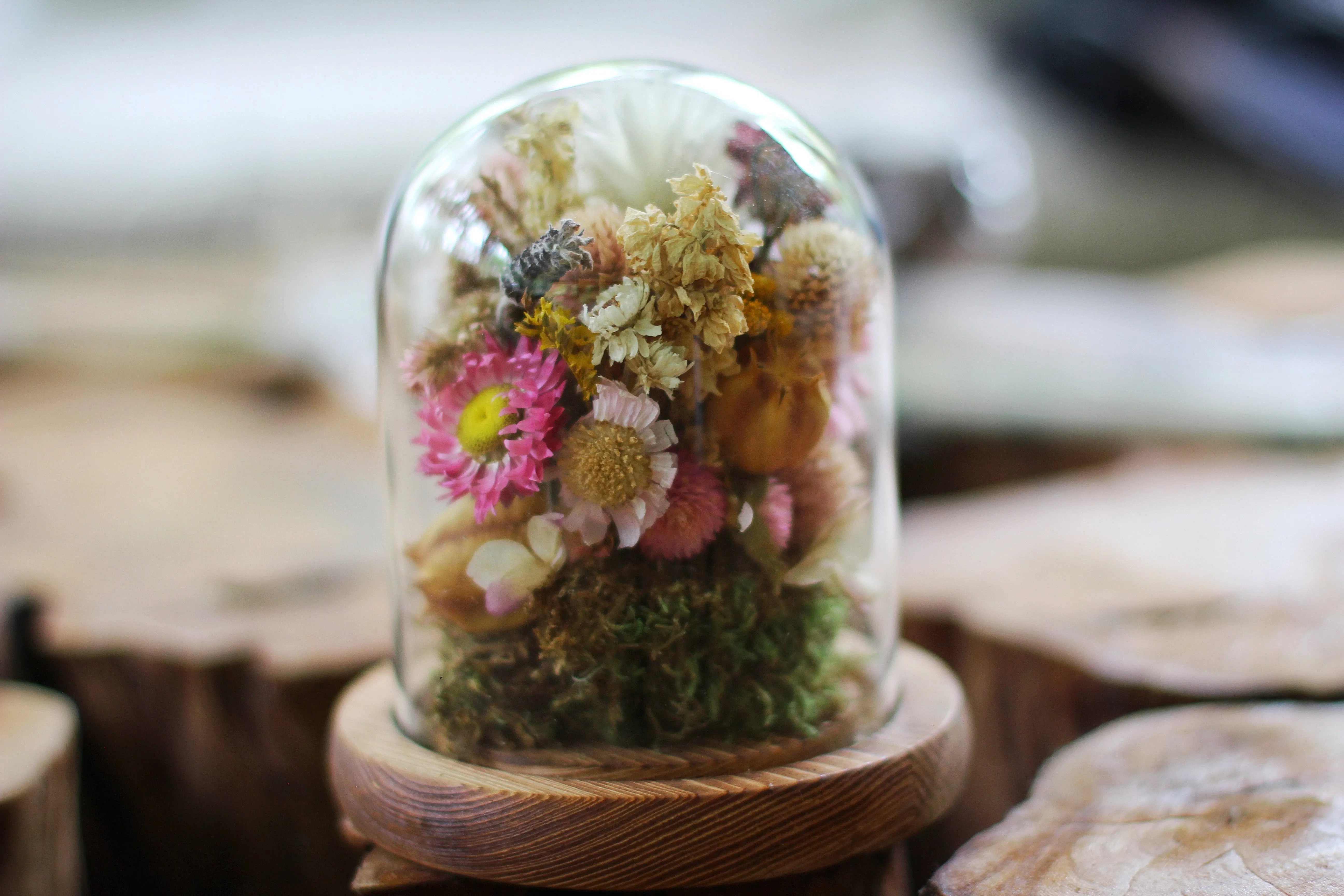 Medium / Small Dried Flowers Glass Dome / Cloche