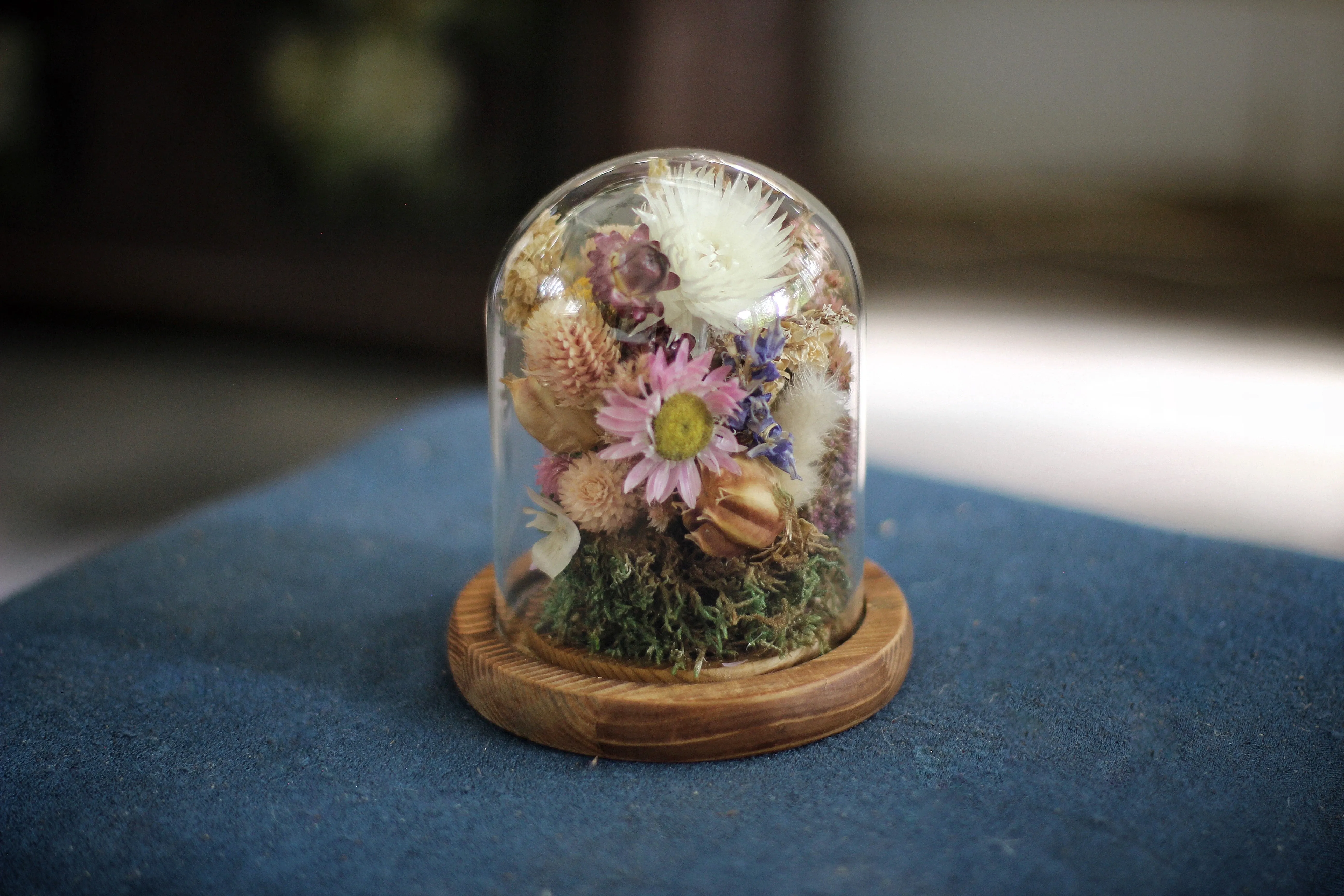 Medium / Small Dried Flowers Glass Dome / Cloche