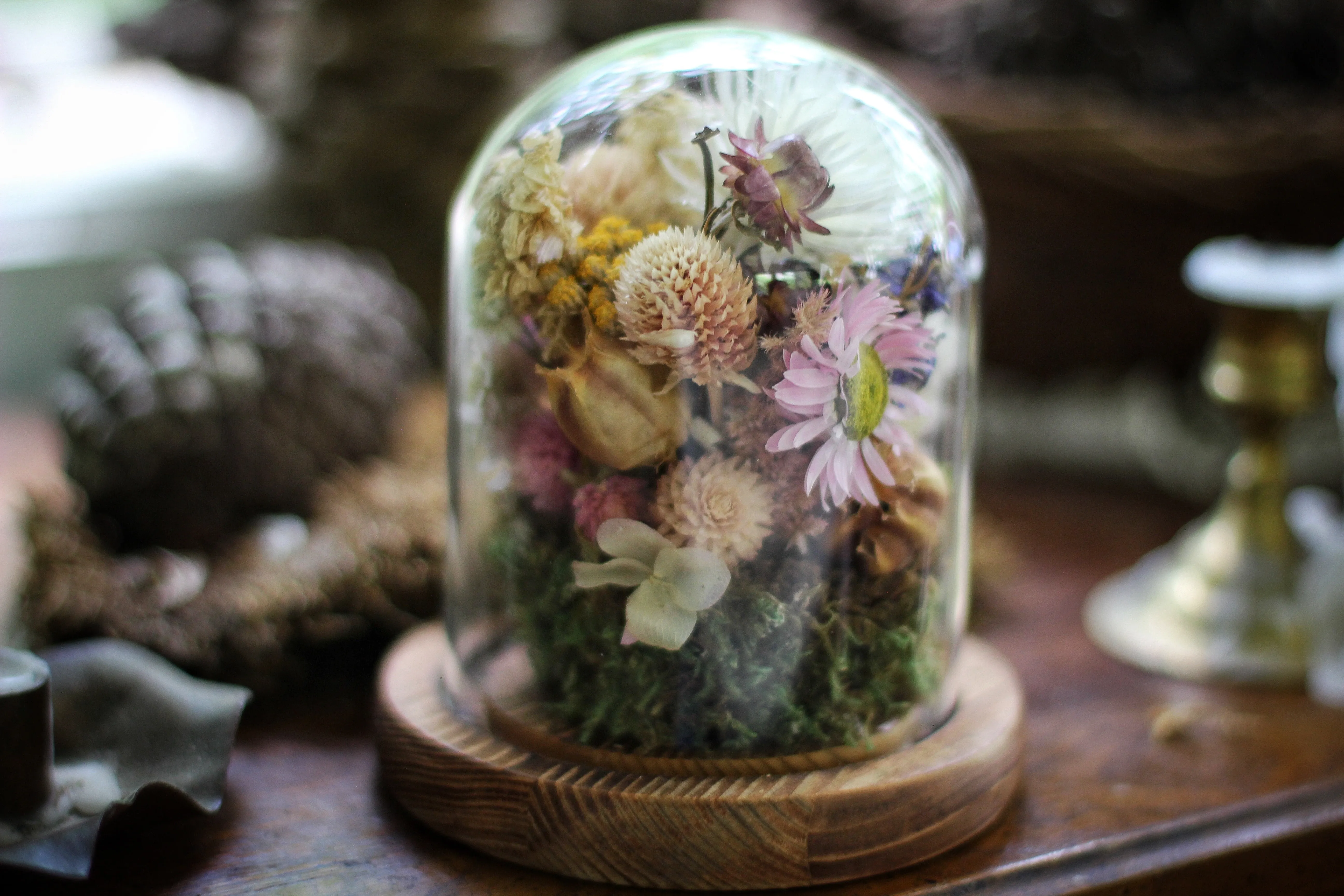 Medium / Small Dried Flowers Glass Dome / Cloche