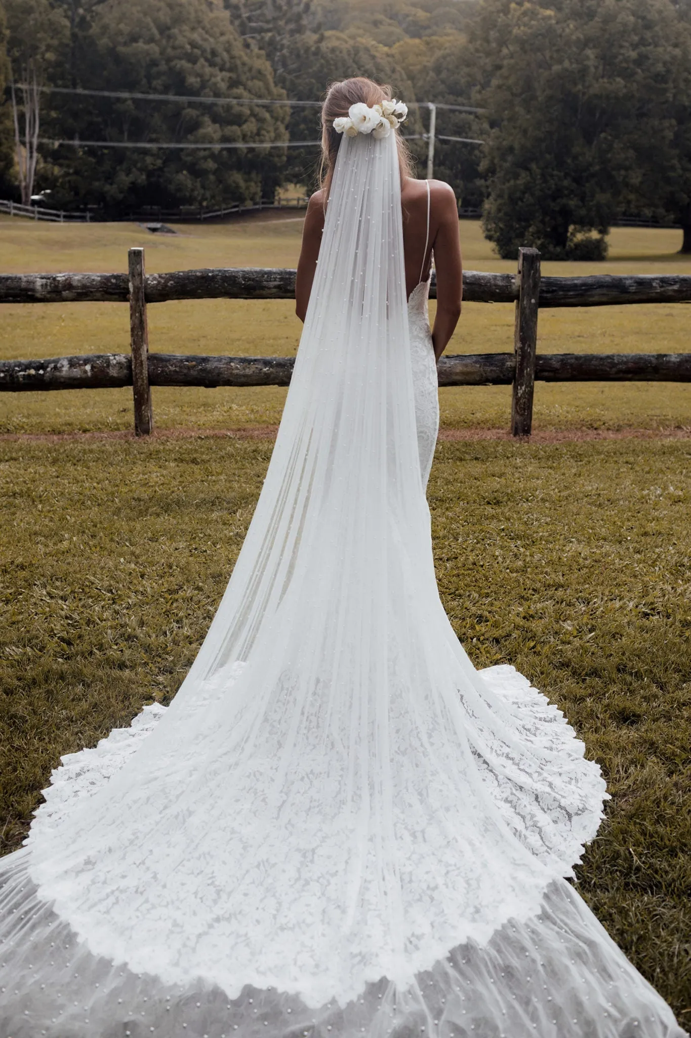 Pearly Long Veil