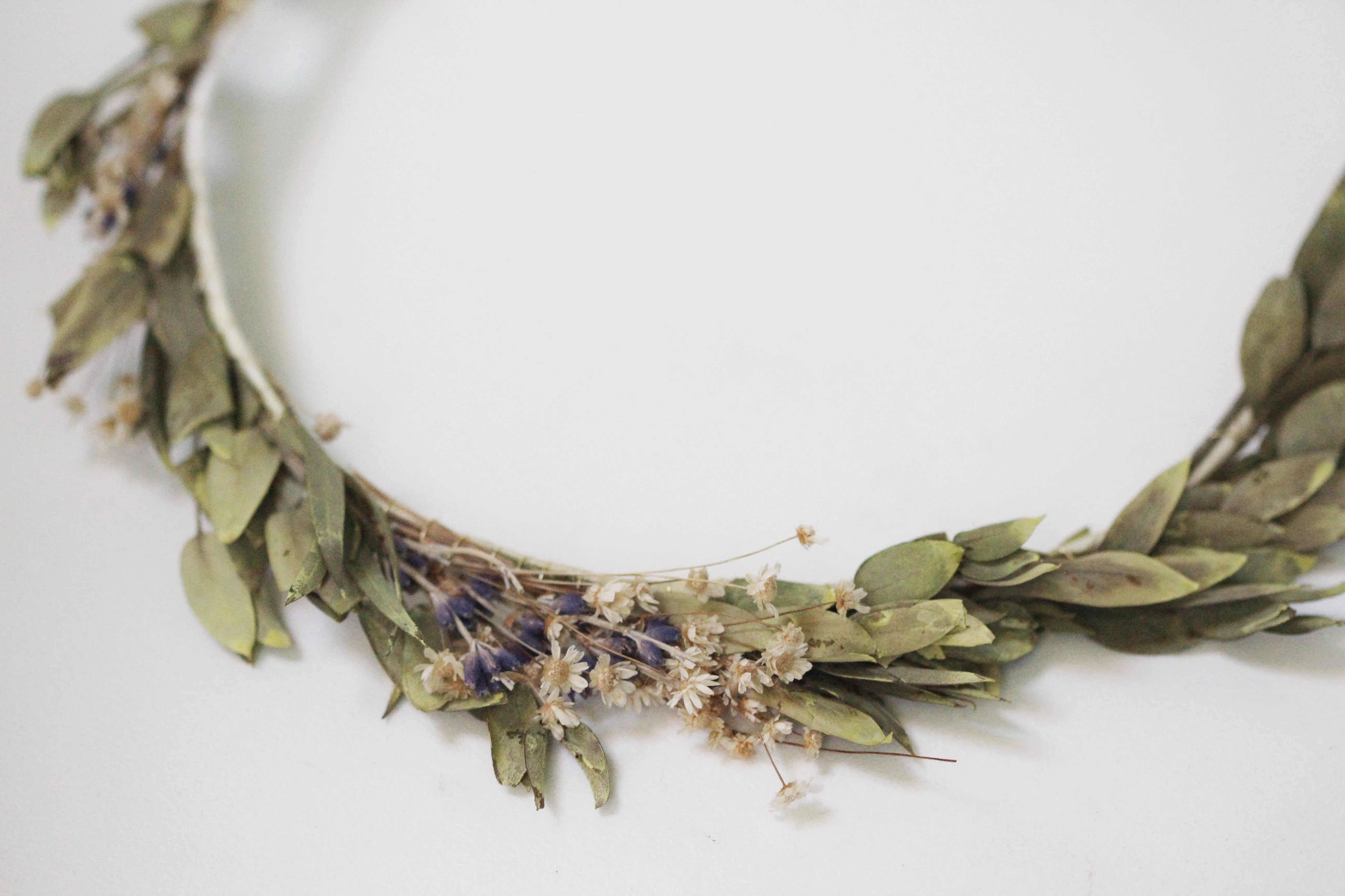 Preorder * Dried Eucalyptus Daisy Wreath