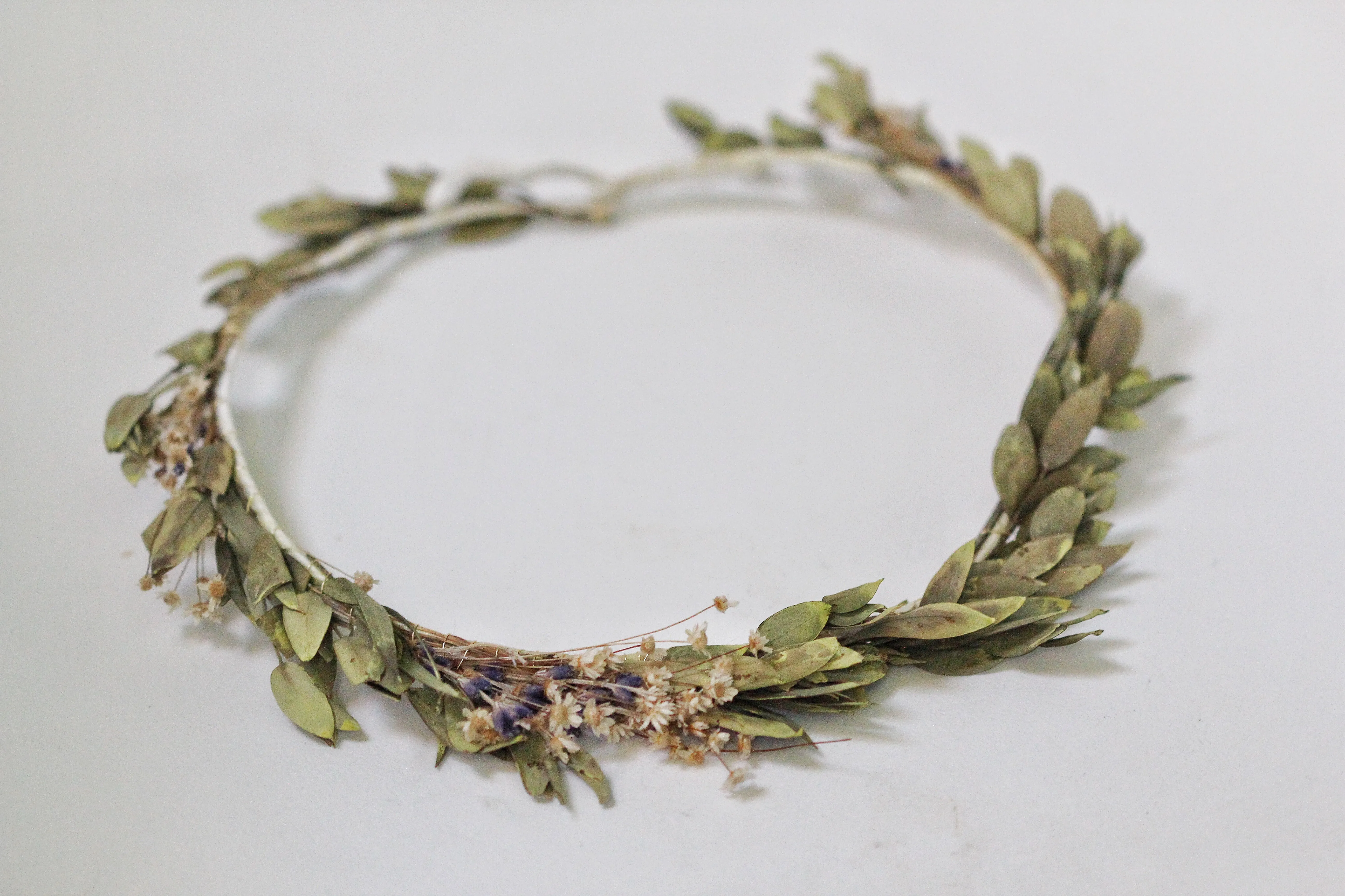 Preorder * Dried Eucalyptus Daisy Wreath