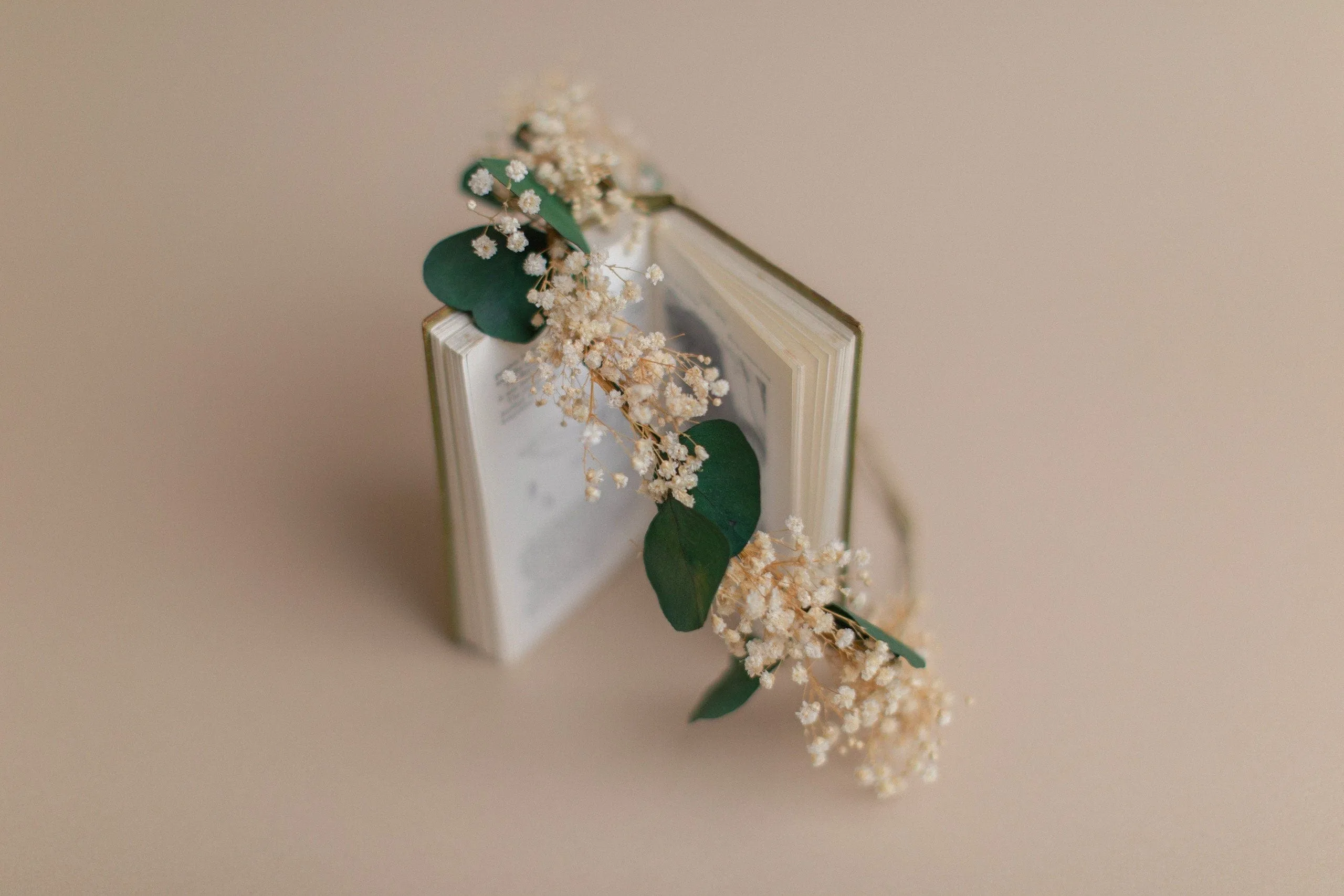 Preserved Green Eucalyptus & Baby's Breath Crown / Gypsophila Crown / Real Dried Flowers Crown / Dried Wedding Crown