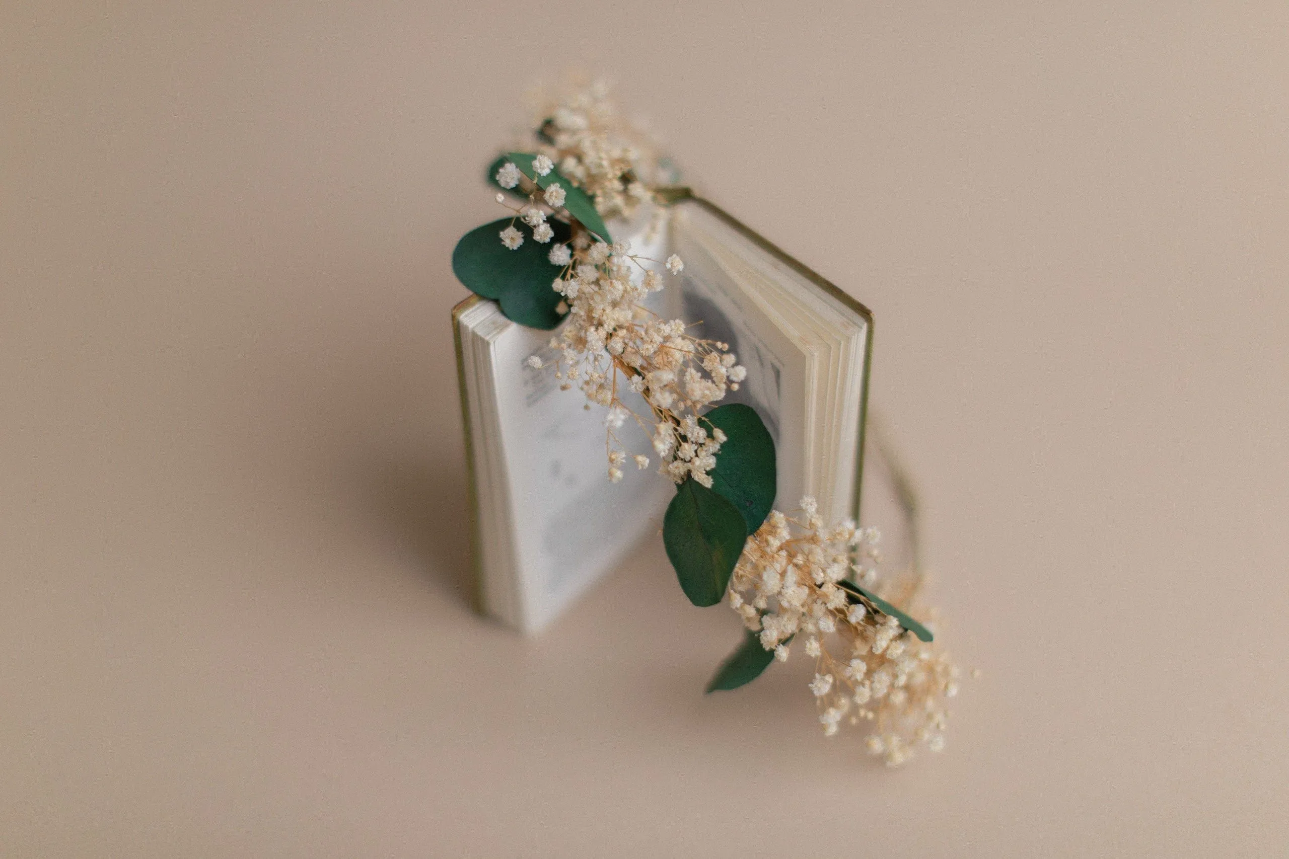 Preserved Green Eucalyptus & Baby's Breath Crown / Gypsophila Crown / Real Dried Flowers Crown / Dried Wedding Crown