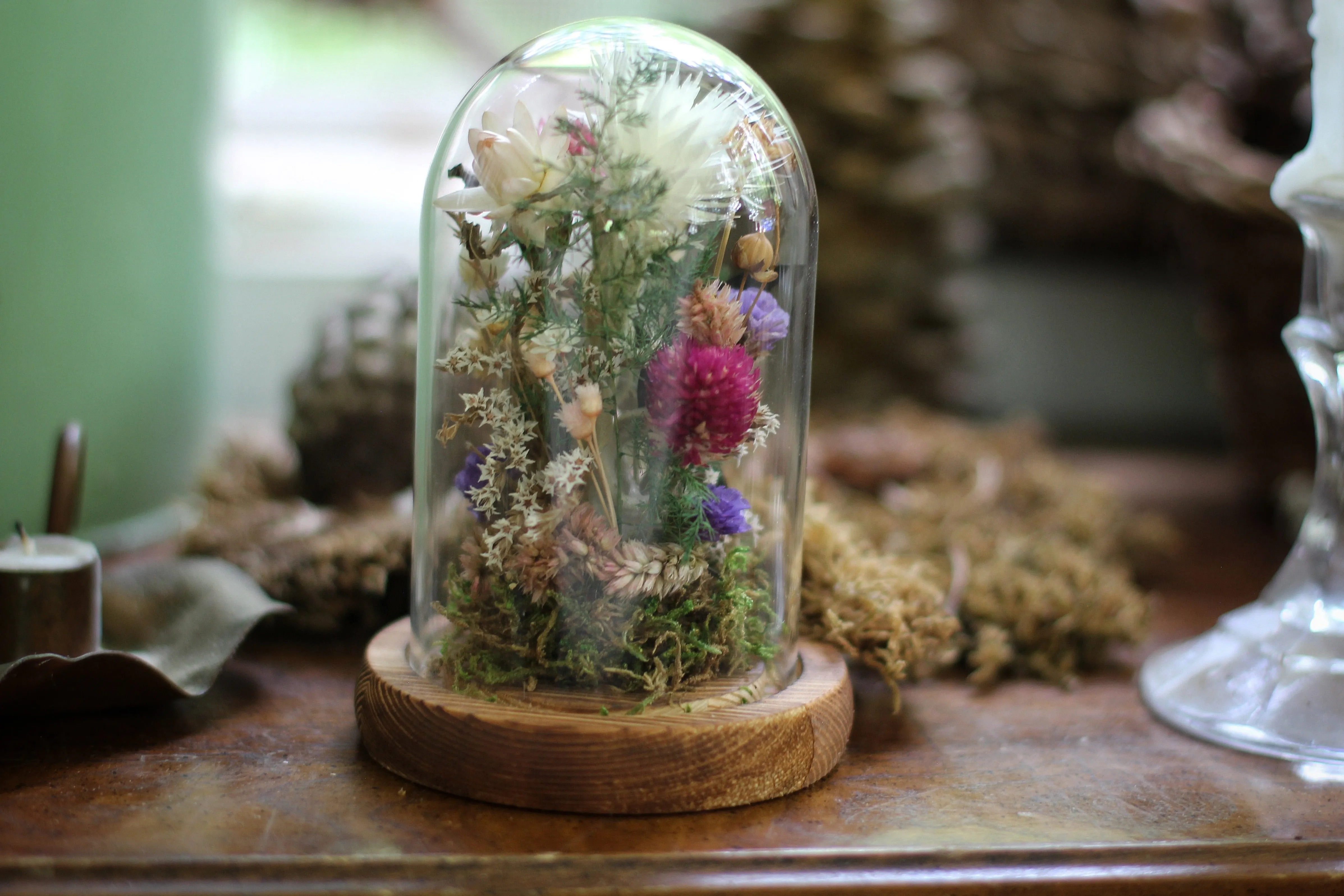 Small Dried Flowers Glass Dome / Cloche