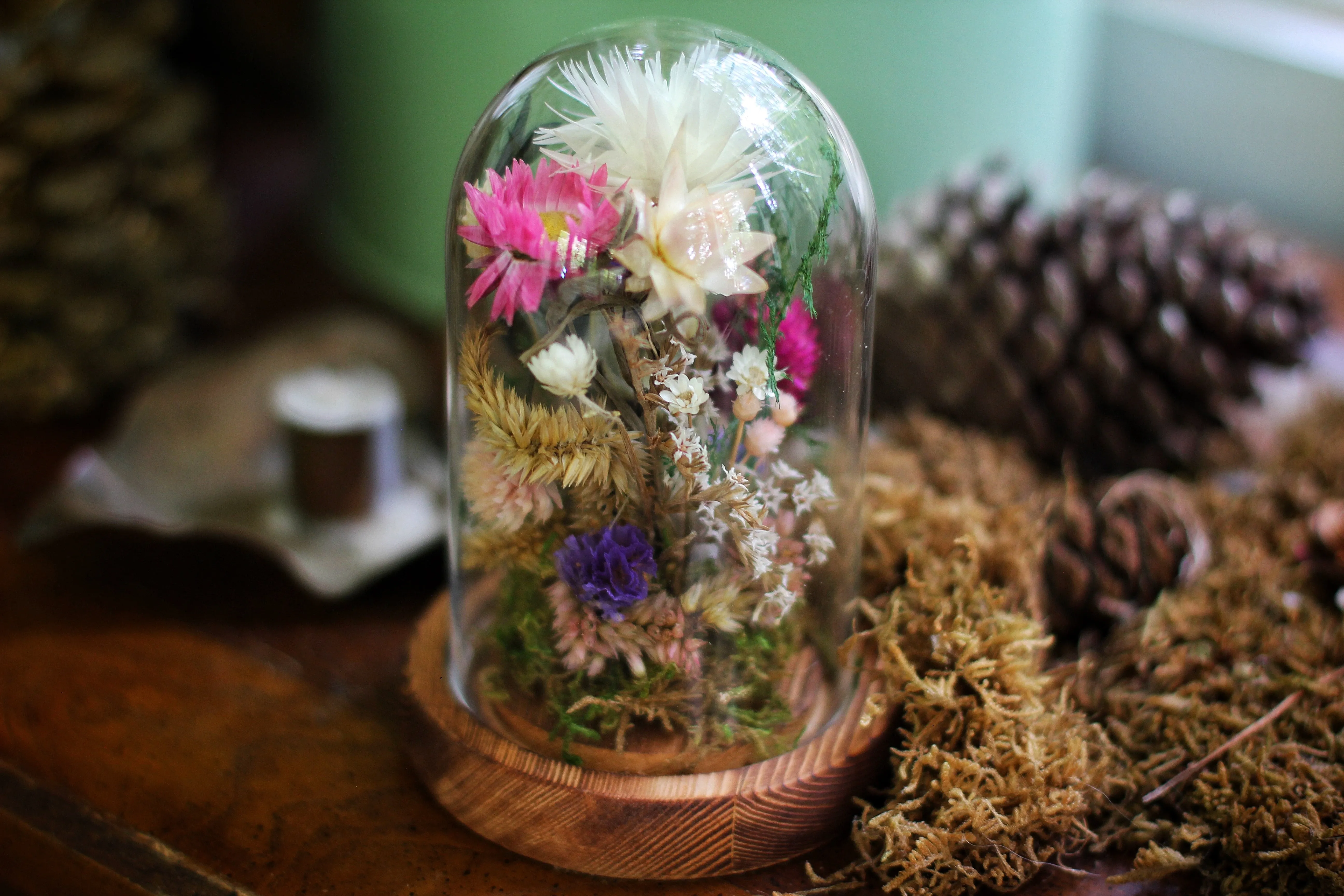 Small Dried Flowers Glass Dome / Cloche