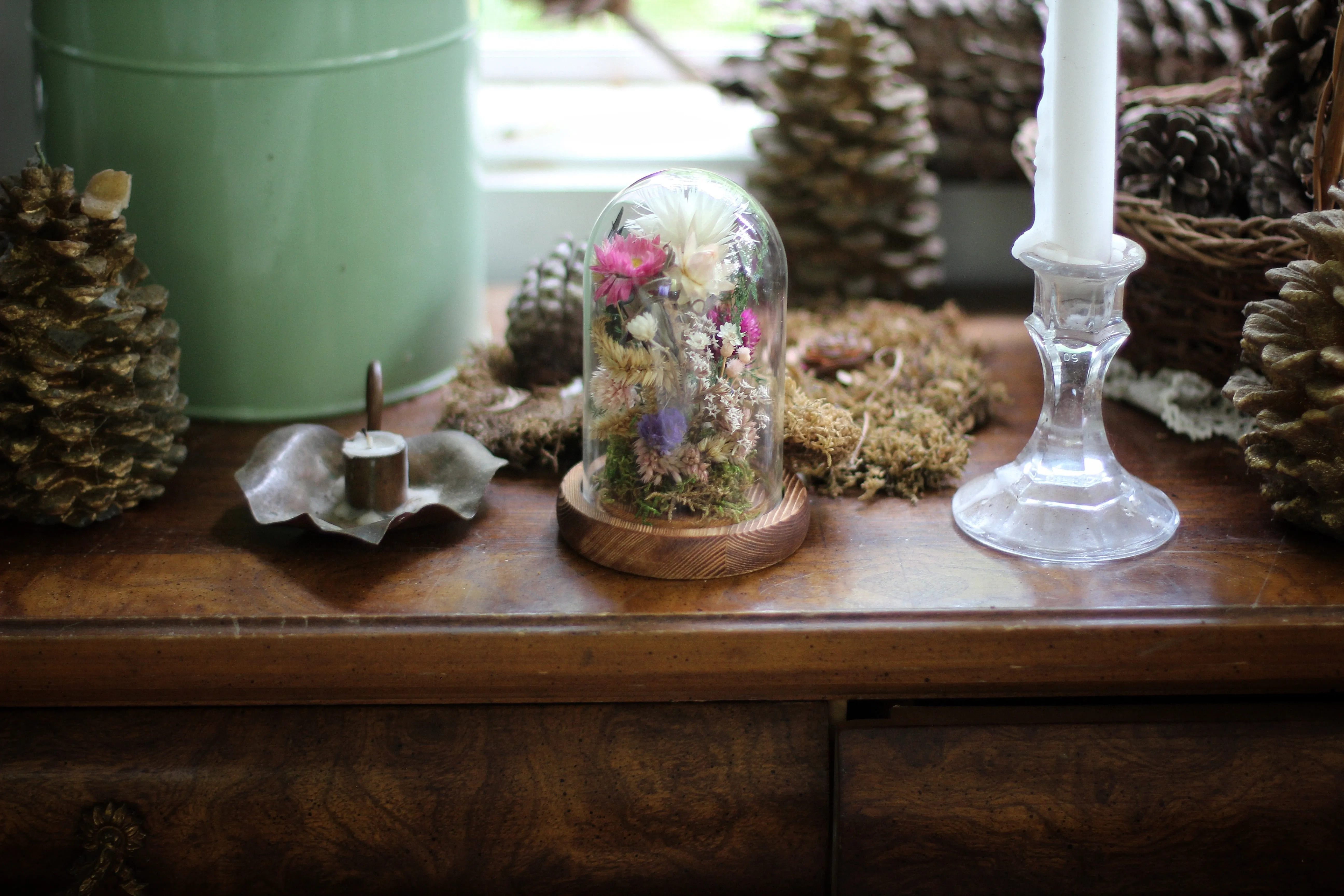 Small Dried Flowers Glass Dome / Cloche