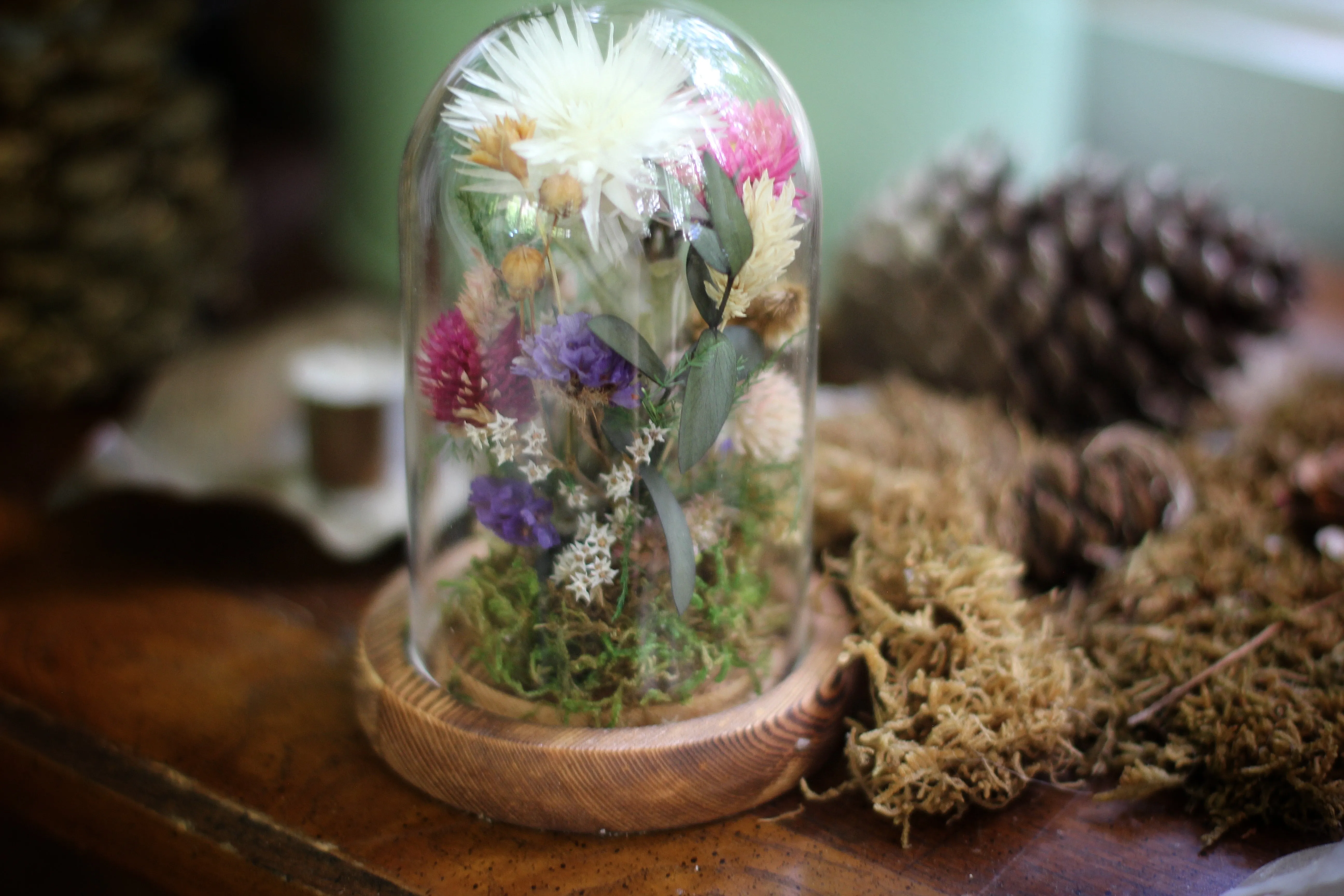 Small Dried Flowers Glass Dome / Cloche