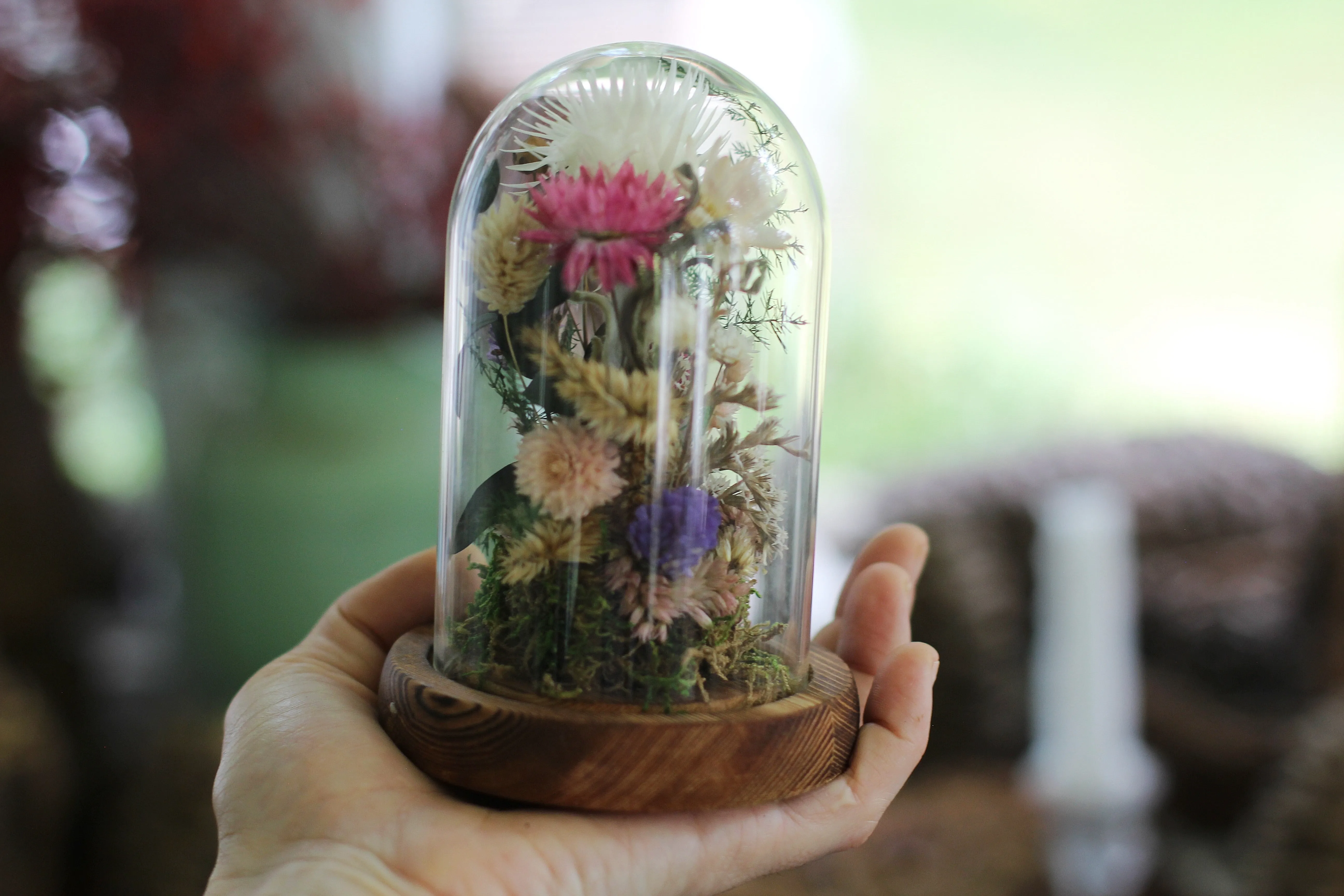 Small Dried Flowers Glass Dome / Cloche