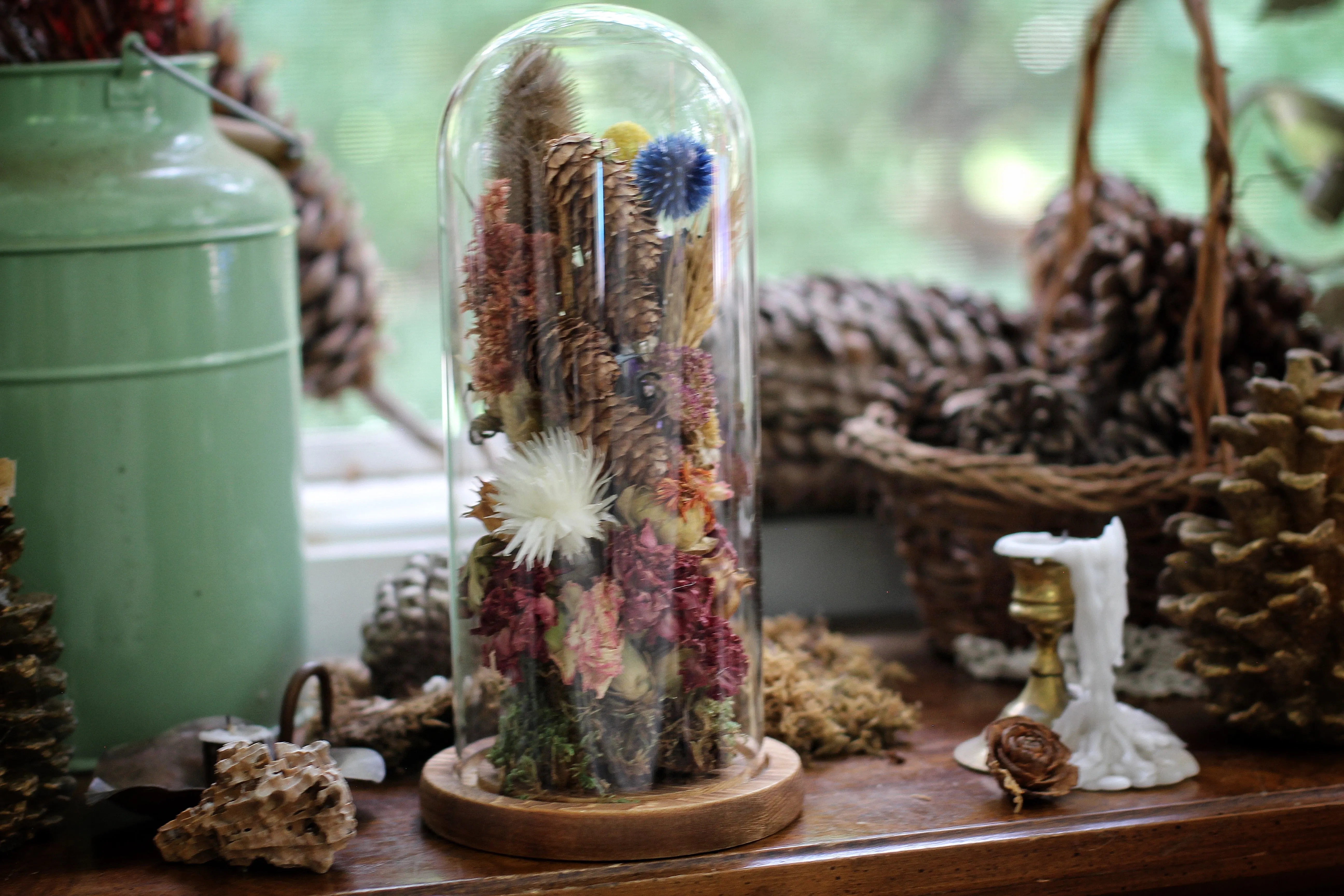 Tall Large Dried Flowers Glass Dome / Cloche