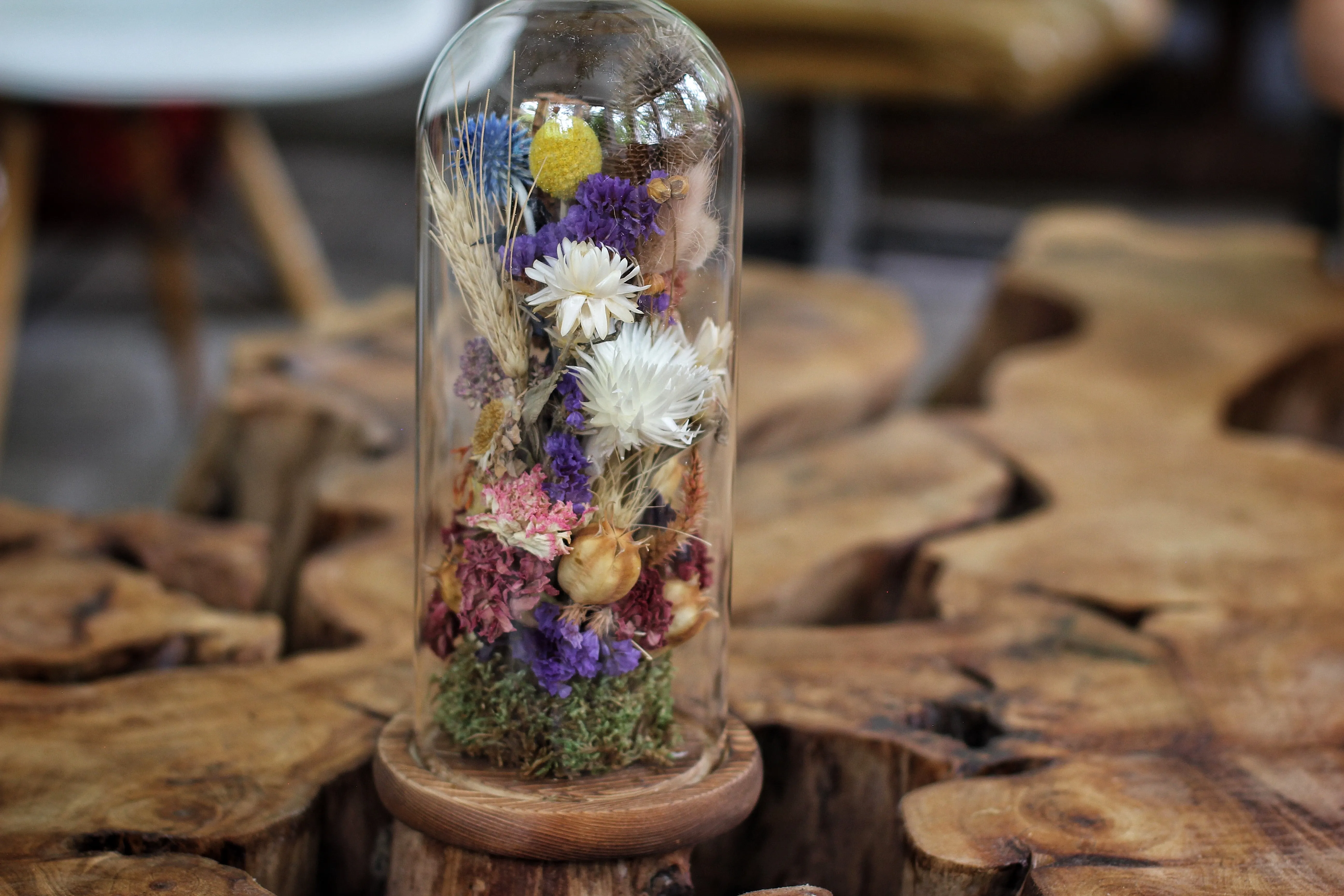 Tall Large Dried Flowers Glass Dome / Cloche