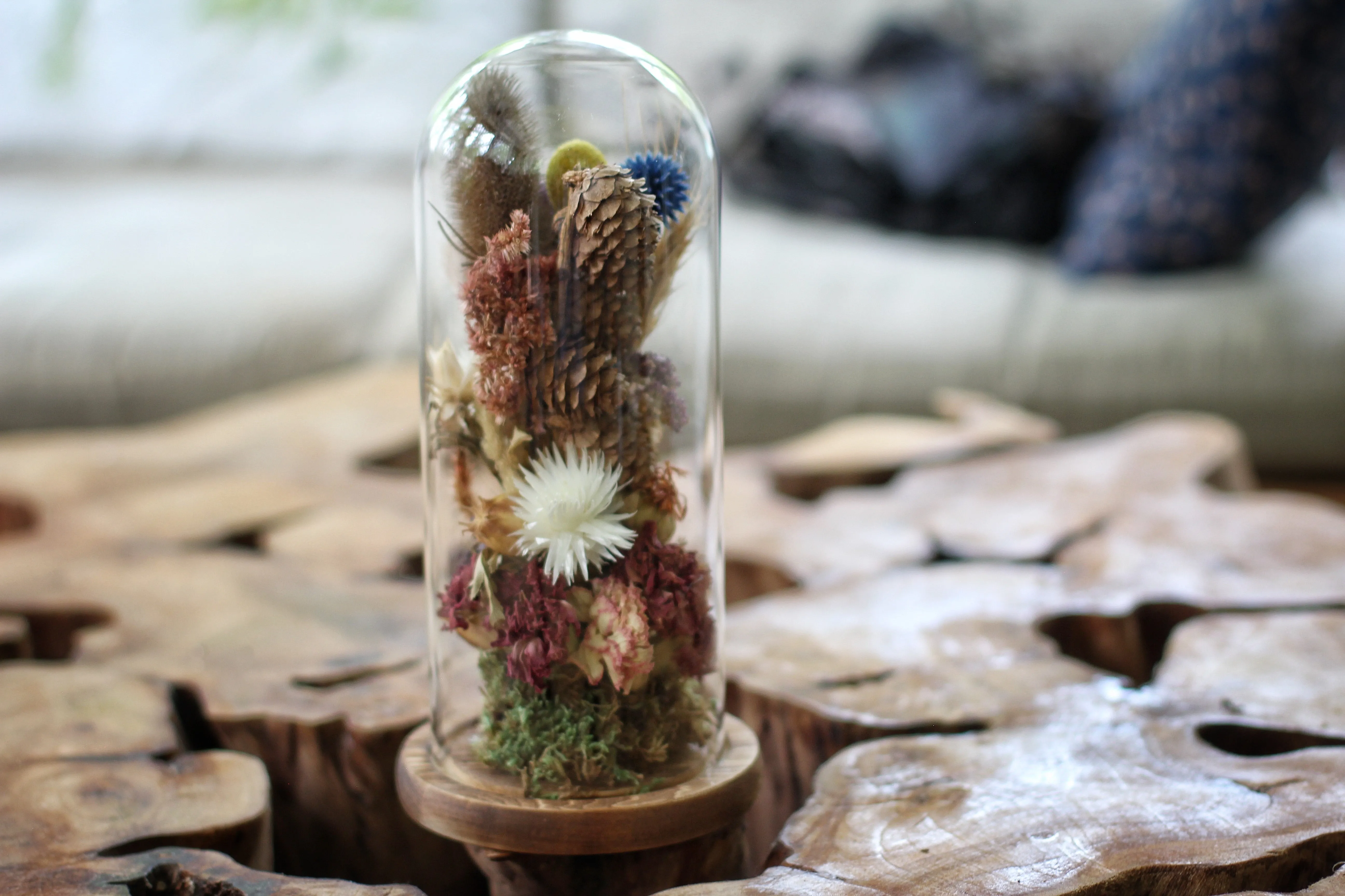 Tall Large Dried Flowers Glass Dome / Cloche